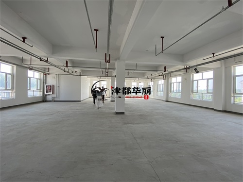 大武口台球厅装修设计项目|津都华丽设计